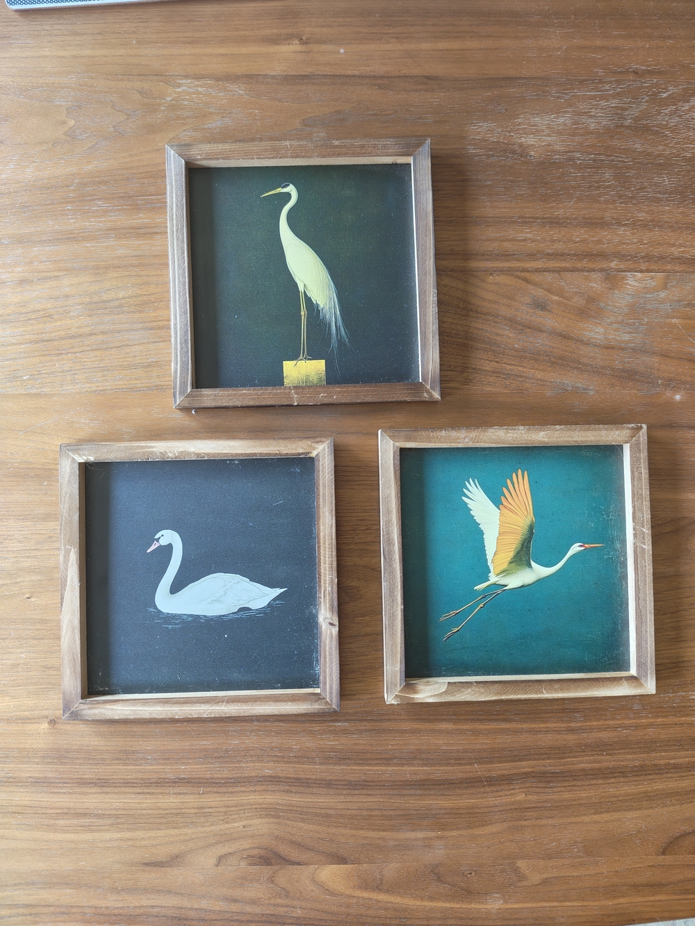 Source Unknown Framed Bird Trio - Teal, Dark Green, Black